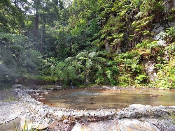 A geothermal spring and forest pool at Caldeira Velha